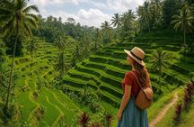 Ubud: Monkey Forest, Jungle Swing, Rice Terrace and Water Temple