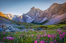 Banff and Yoho National Parks Full Day Guided Tour