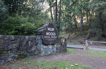 Muir Woods and Sausalito Day Trip Plus Rocket Boat Adventure