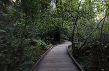 Muir Woods and Sausalito Day Trip Plus RocketBoat Adventure