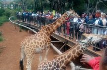 Karen Blixen Museum, Giraffe Center and Souvenir Shopping Tour