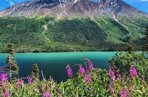 Private Skagway Tour Custom Half Day Charter For Up To 20 People
