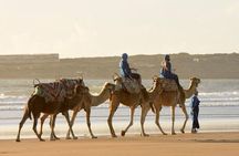 Private 4-Day Tour Casablanca to Marrakech via Fes& Sahara Desert