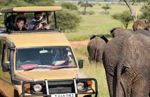 Zanzibar: 3-Day Mikumi Safari, Uluguru Hike & Maasai Culture