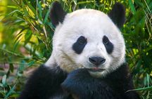 15-Day Beijing-Xi'an-Guilin-Chengdu-Chongqing-Yangtze-Shanghai