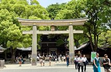 Tokyo Private Half-Day Highlights Tour by Car with Guide