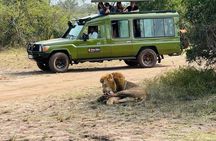 1 Day Exclusive Safari Akagera NP Spoting big five and Boat ride