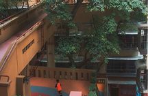 Chongqing 8D Maze Local Neighborhoods Walking tour (half day)
