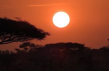 7 Day Classic Tanzania Safari Experience