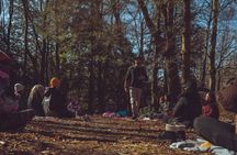 The Woodland Reset Chopwell Woods