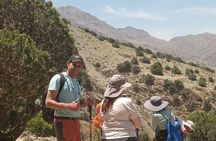 Culturally Immersive Tours in Morocco