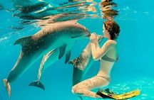 Mnemba Island Snorkeling & Dolphin Watching Tour in Zanzibar