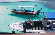 From Semporna Si Amil Island Diving or Snorkeling Day Trip