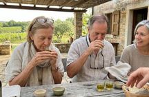 Private Winery Adventure in Rovinj at Stancija Collis