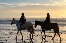 Agadir Horse Riding Experience on the Beach with Sunset Option