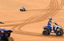 Desert Safari Adventure: Dune Bashing, Quad Biking & Dinner Show