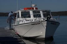 Old Sow Whirlpool and Whale Tours