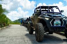 Antigua Buggy Driving Private Activity
