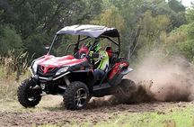 Antigua Buggy Driving Private Activity