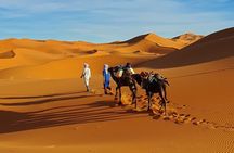 Camel Trek in Merzouga and Overnight in a luxury Desert Camp