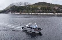 Whales and Lunch! Ketchikan's Premier Marine Mammal Viewing Tour