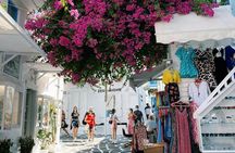 Mykonos Private Half Day Highlights for Cruise and Hotel Guests