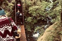 Ketchikan Town Tour, Totem Heritage Center & Trail Hike Combo
