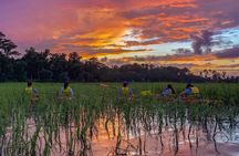 Guided Sunset Kayak Nature Adventure