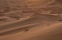 Quad Sand Explorer Merzouga