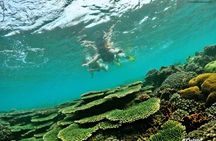 Half-day Snorkeling Experience in Phu Quoc Island