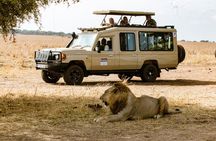 3-Day Romantic Safari in Tanzania: Ngorongoro and Tarangire