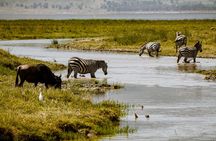 3-Day Romantic Safari in Tanzania: Ngorongoro and Tarangire