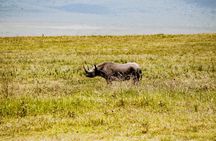 3-Day Romantic Safari in Tanzania: Ngorongoro and Tarangire