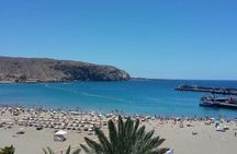 Tenerife South Beaches Tour with Guide