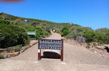 Full Private Tour of Cape Peninsula and Boulders Beach Penguins