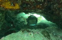 Turtle Snorkeling Experience in Vieques