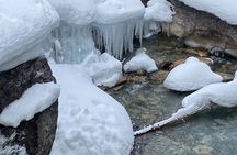 Lake Louise, Emerald, Marble canyon, Banff from YYC,Canmore,Banff