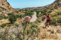 Karpathos Valley Walk in Pigadia - easy guided walking tour
