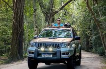 5h without track. PRIVATE SUV 4x4 TIJUCA Forest + fotog.