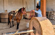 Live the Oaxaca Deep Mezcal and Gastronomy and Textiles