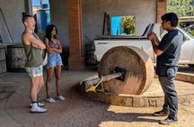 Live the Oaxaca Deep Mezcal and Gastronomy and Textiles