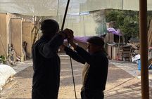 Kyoto National Treasure Temple Tour & Japanese Archery experience