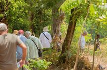 Kilimanjaro Cultural Safari Six Day Private Tour