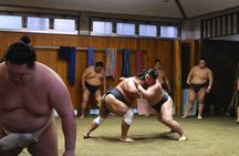 Premium Morning Sumo Practice Viewing in Asakusa Tokyo