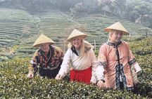 Hangzhou Classic Day Tour from Shanghai by Bullet Train