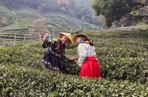Hangzhou Classic Day Tour from Shanghai by Bullet Train