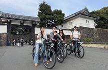 Tokyo Guided E-Bike Tour Hidden Streets and Local Neighborhoods