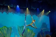 Underwater Show Spectacle at Varuna Bali Theatre