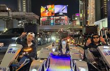 Tokyo Guided Electric Kart Tour