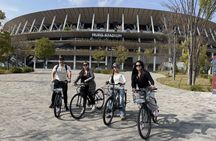 Tokyo Guided E-Bike Tour Hidden Streets and Local Neighborhoods